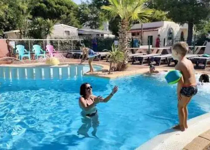 Zecamping 3 Parc Aquatique Piscine A 2km De La Animaux Acceptes Борм-ле-Мимоза